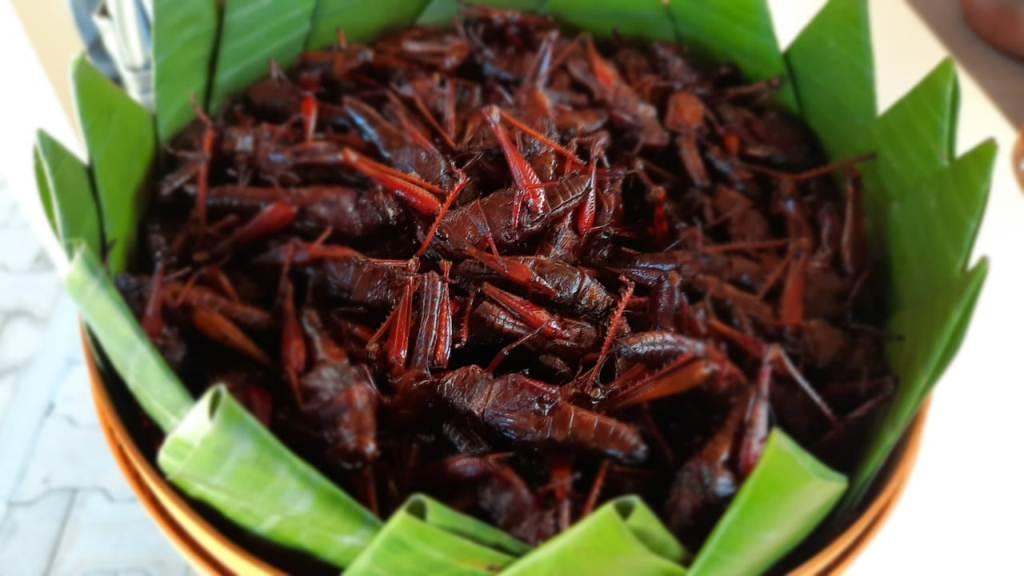 Belalang goreng, salah satu kuliner khas Gunungkidul. (wisata.gunungkidulkab.go.id)