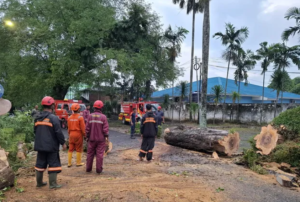 Cuaca Ekstrem Paling Banyak, Banjir dan Longsor Menimpa Gunungkidul Akhir 2025