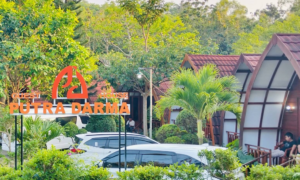Nggak Usah Panik! Cari Hotel Murah di Gunungkidul Masih Bisa, Bahkan Mulai Rp100 Ribu