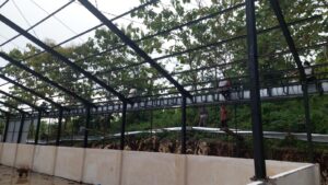 Progres Capai 80%, Pembangunan KDMP di Gunungkidul Ditarget Rampung Akhir Bulan