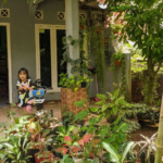 Tips Bikin Teras Natural Minimalis untuk Lebaran