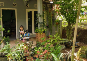 Tips Bikin Teras Natural Minimalis untuk Lebaran